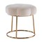 Contemporary Home Living Floral Accent Vanity Stool - 17.75" - White and Gold